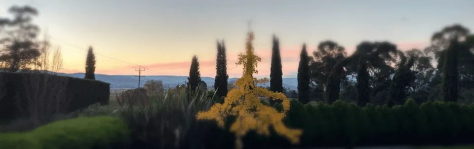 Dusk over the Yarra Valley beyond the Villa Capra hedges