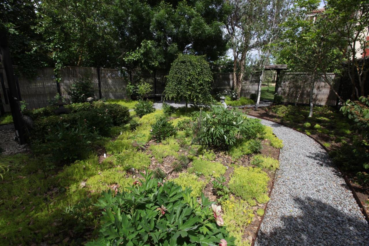 Gravel path winding through the Japanese garden planting