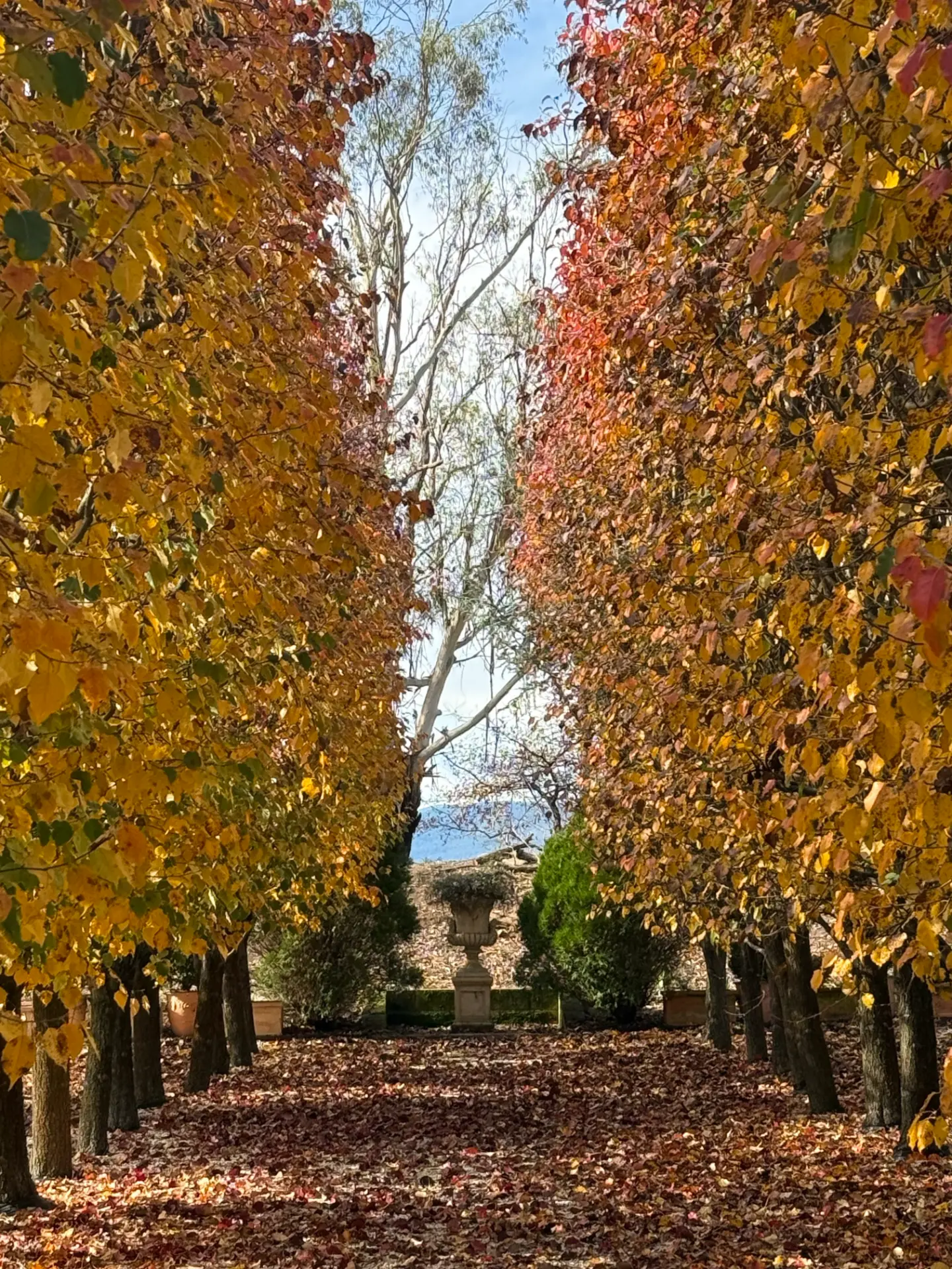 An autumnal tree-lined garden walk leading toward a classical urn and distant hills