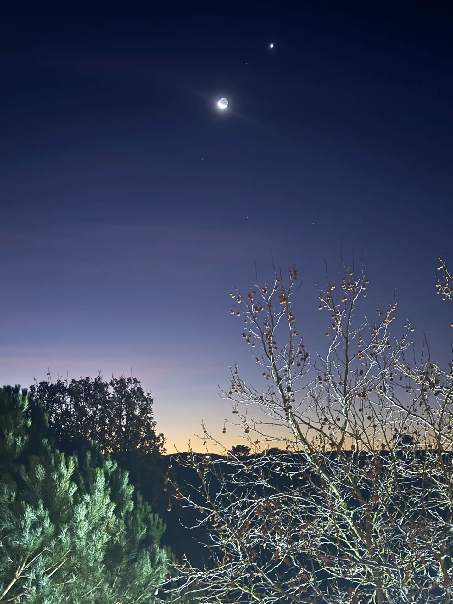 A moonlit twilight landscape with a bare tree, silhouetted vegetation and a bright moon