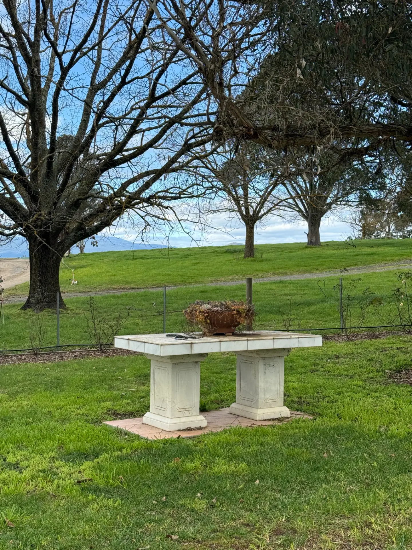 Stone table and planter beneath bare trees with Yarra Valley hills beyond