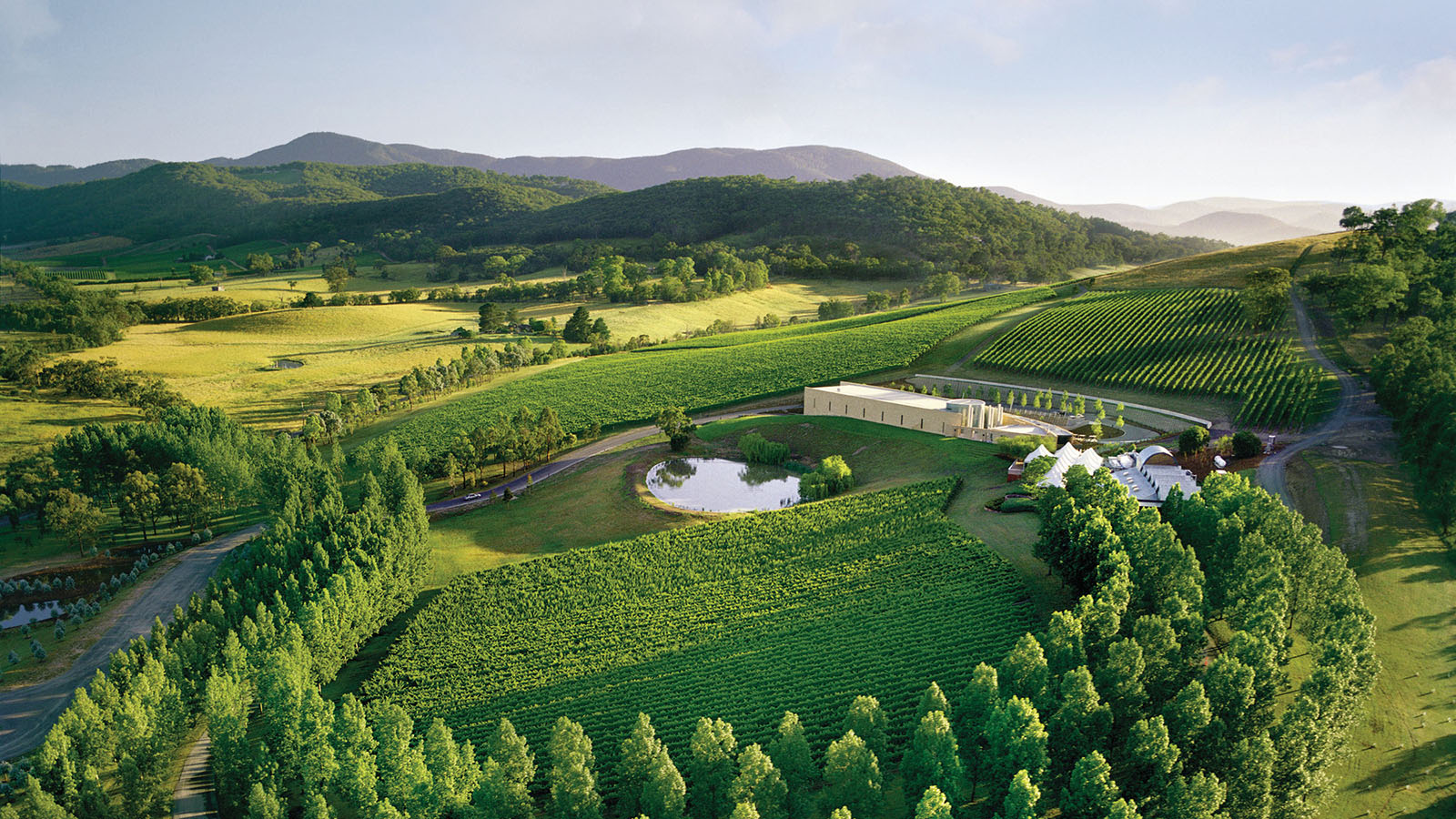 Aerial view of Yarra Valley vineyards and rolling hills