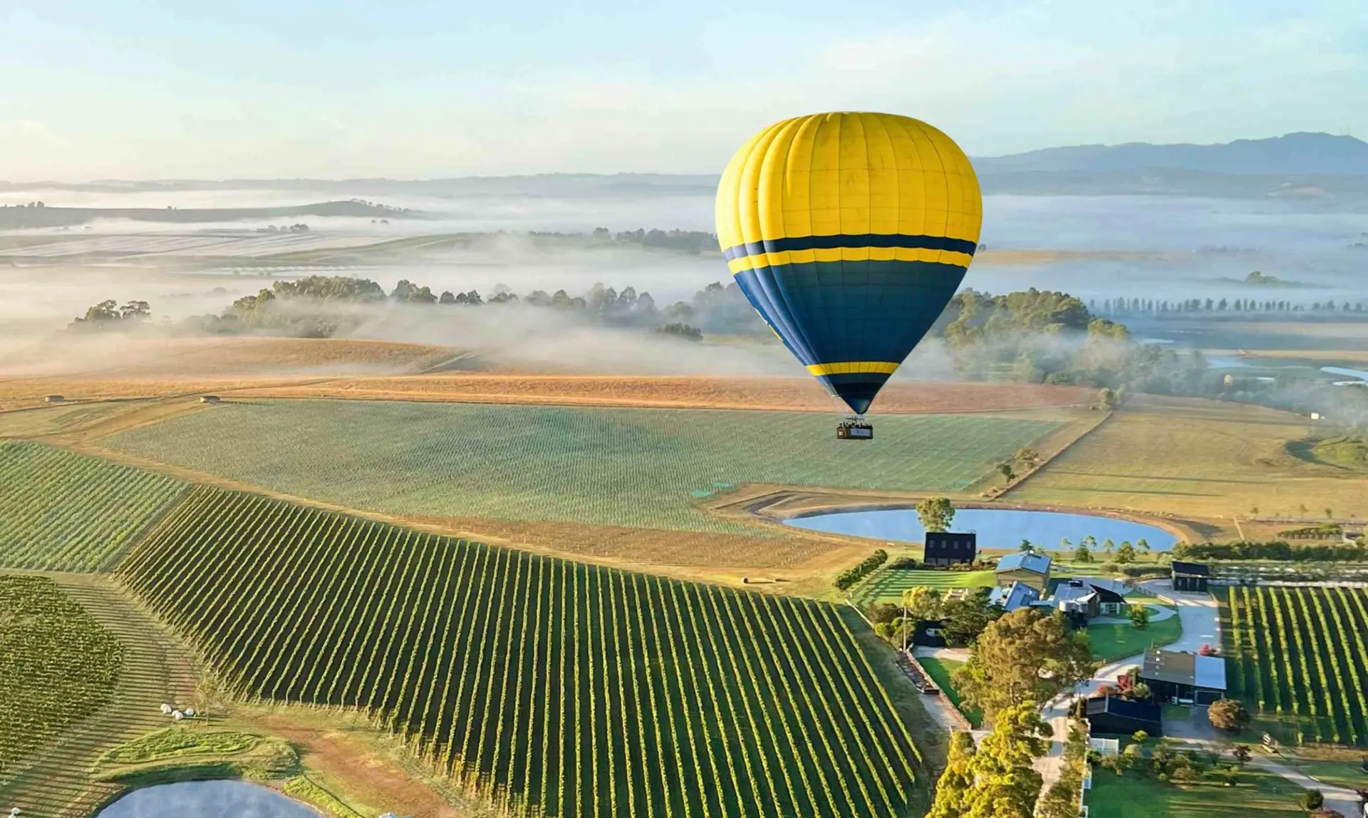 Hot air balloon drifting over misty Yarra Valley vineyards at dawn