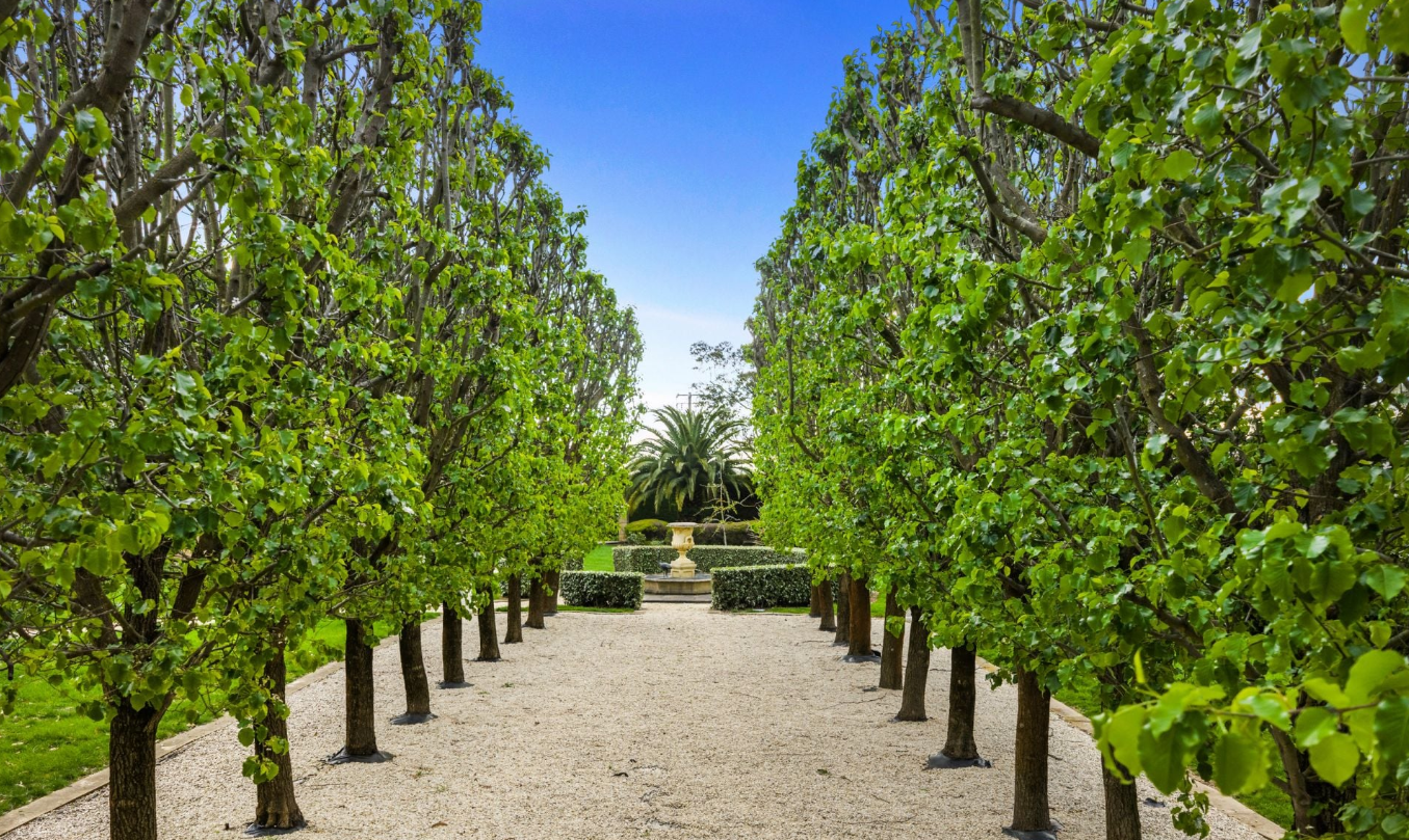 The green Pear Walk leading toward its ornamental fountain